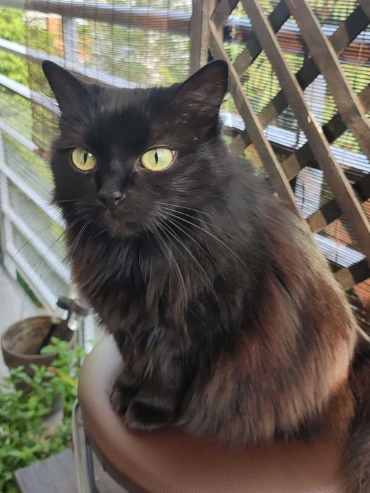 Korepetycje z fizyki - szkoła podstawowa i średnia