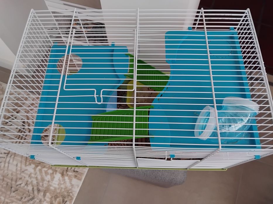 Gaiola amster com tudo incluido