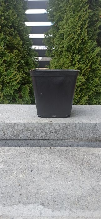 Doniczki plastikowe  P13