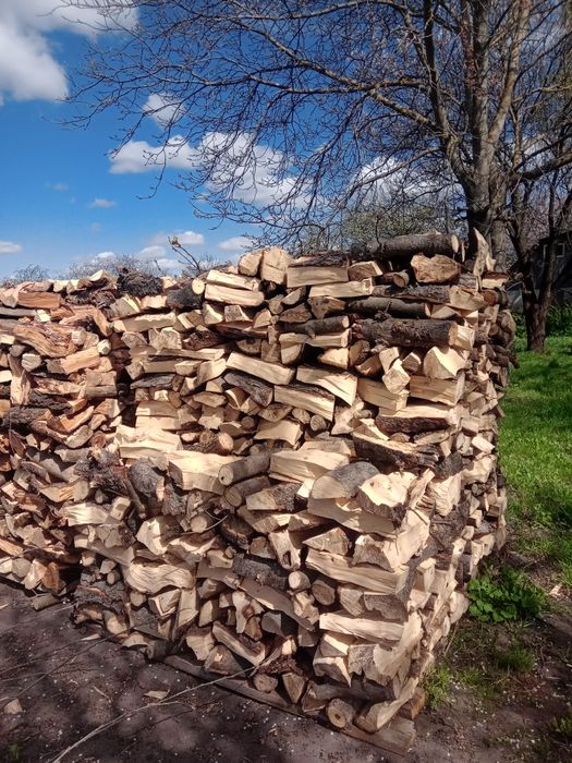 Продам дрова фруктовие