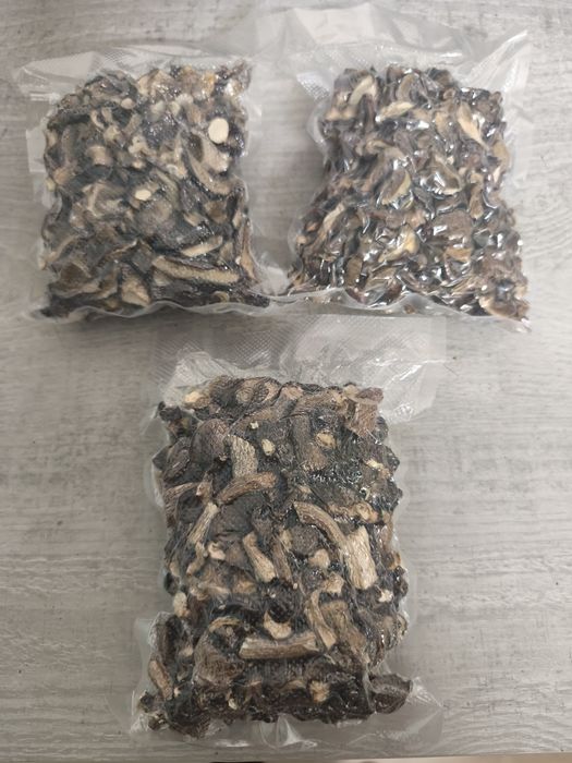 Suszone grzyby lesne