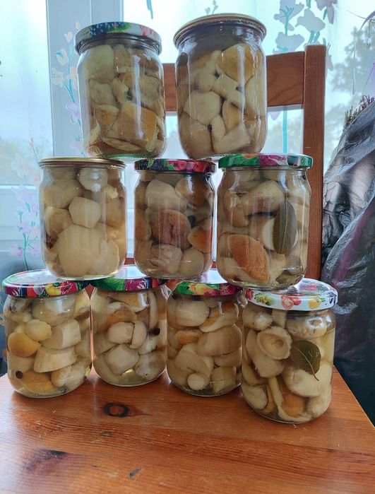 Сухі білі гриби Мариновані гриби  Грибний порошок Карпатський чай