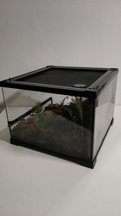 Terrários Giganterra