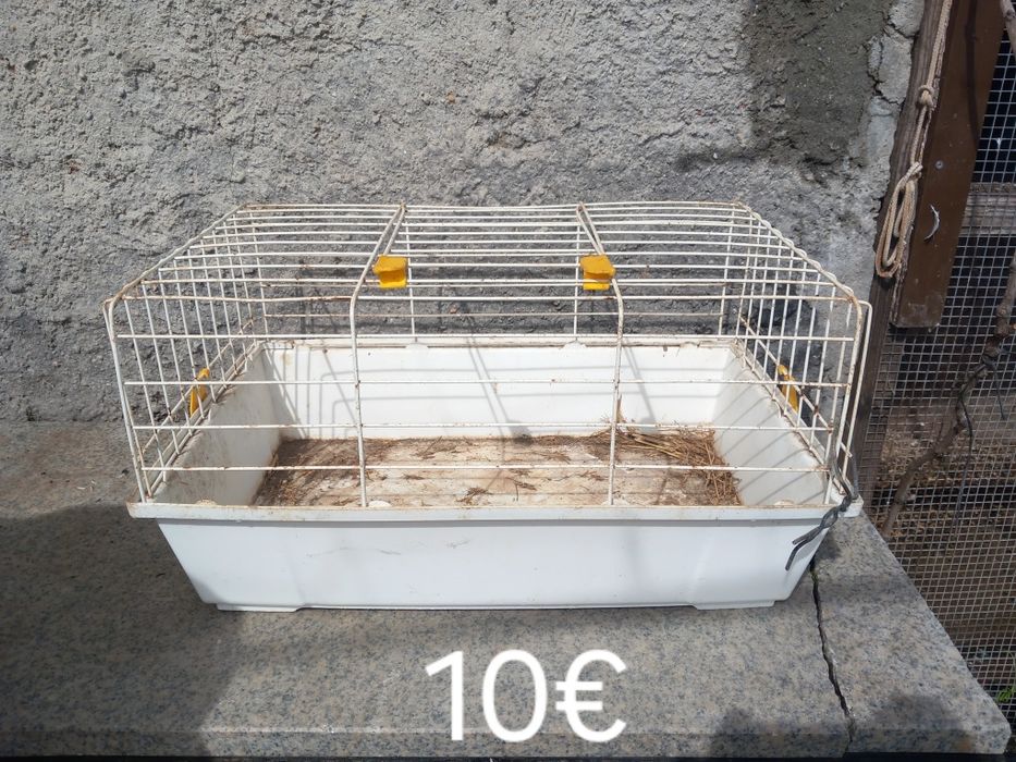 Várias gaiolas para coelhos,porcos da Índia ...