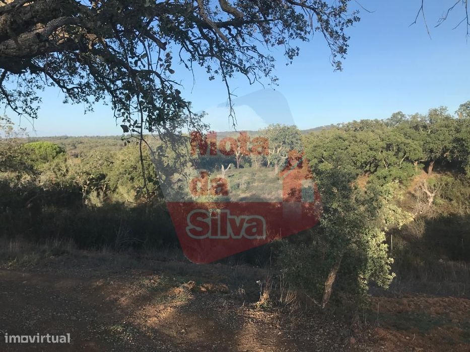 Magnífico Terreno em São Francisco da Serra — Santiago Do Cacém, Santa Cruz E São Bartolomeu Da Serra, Setúbal