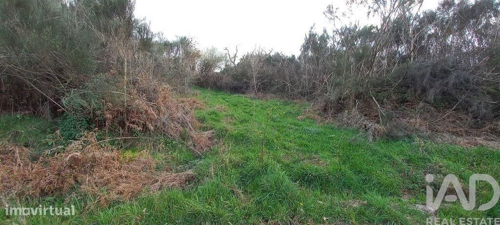 Casa rústica em Cambra e Carvalhal de Vermilhas de 3971 m2