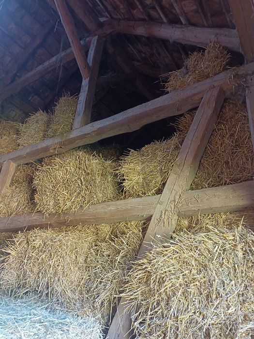 Słoma  małe kostki