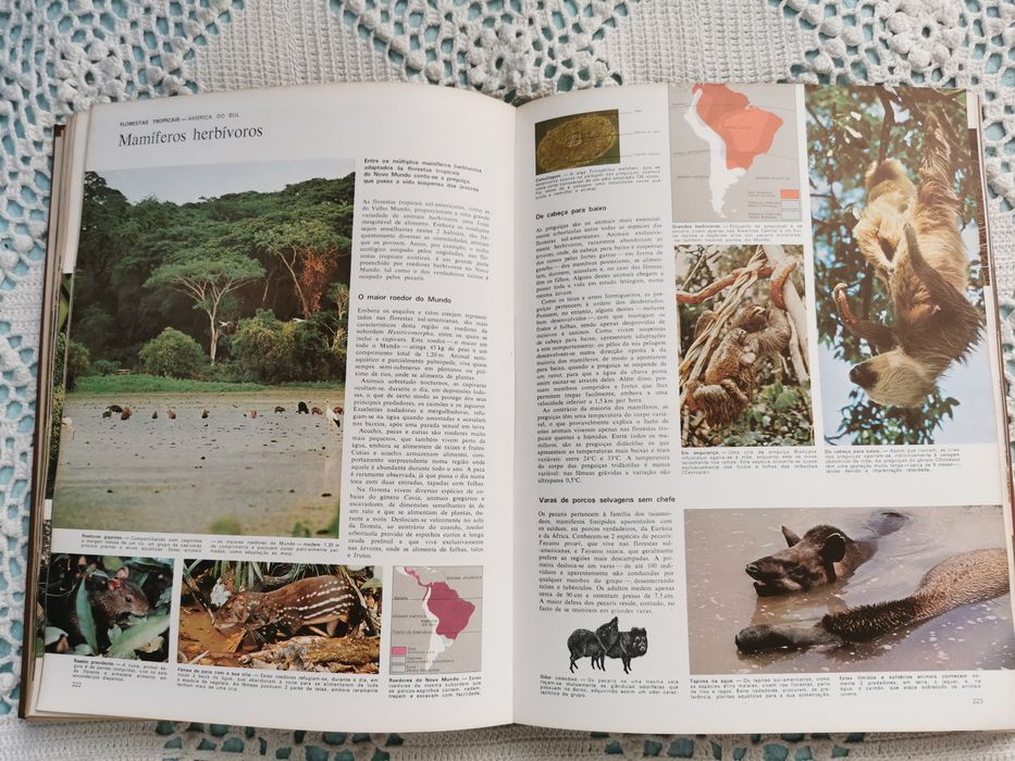 Animais da Terra