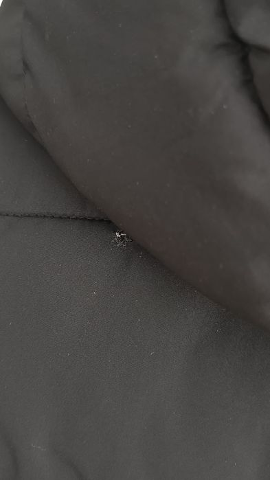 Kurtka przejściowa męska pikowana