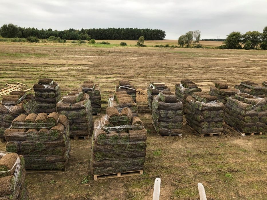 Trawa w rolce *Premium* - PLANTACJA | Montaż