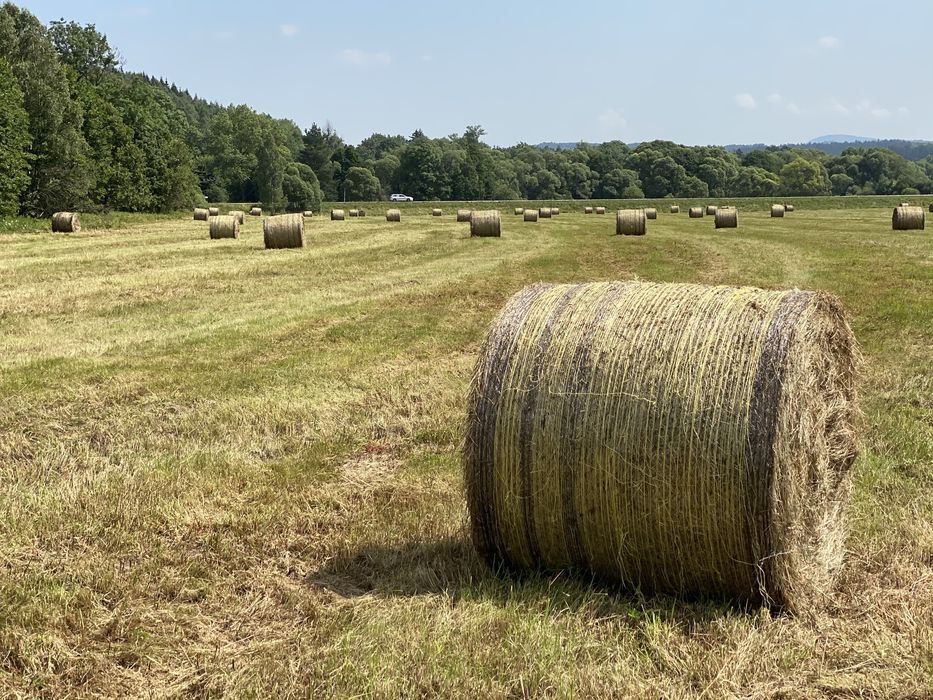 Siano, sianokiszonka eko. Super jakość