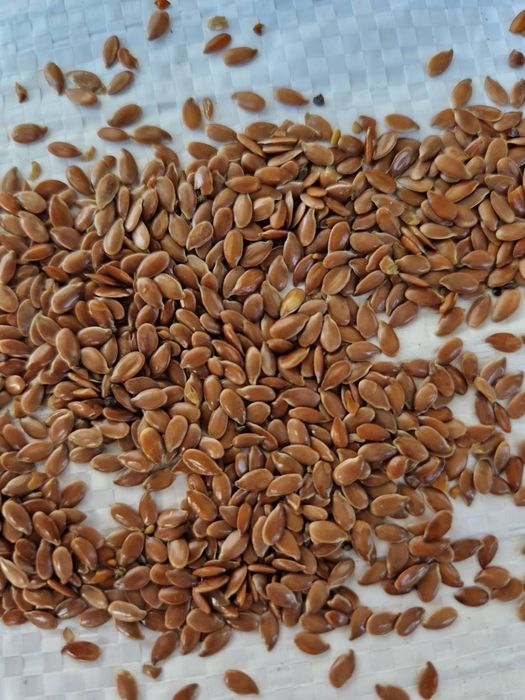 Продам льон коричневый