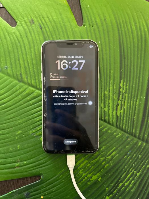 IPhone 11 normal