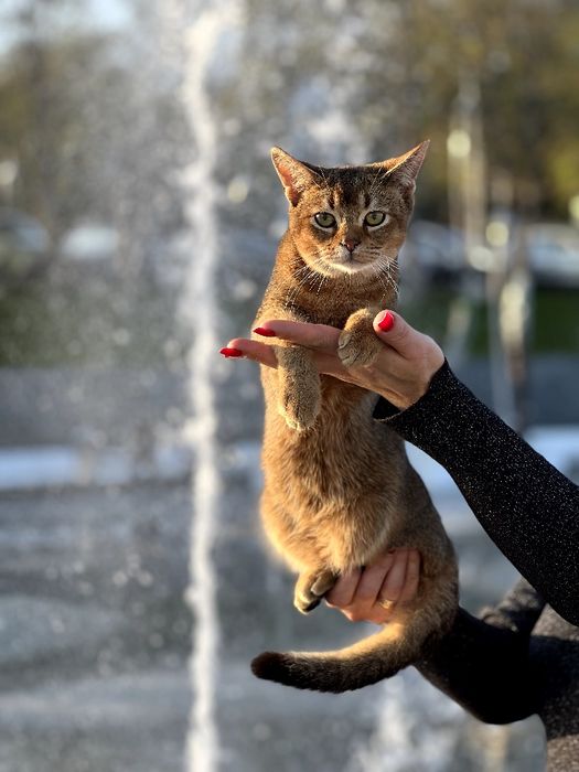 Ніжний та лагідний хлопчик