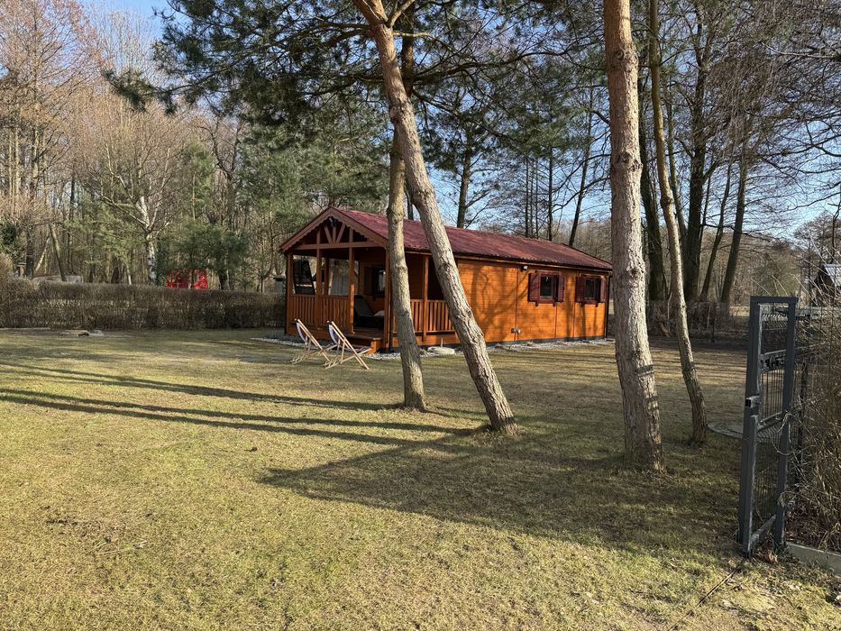 Piękna działka jezioro powidzkie Kosewo - Widok 5