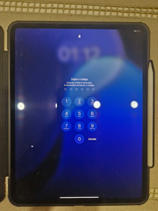 iPad Pro M4 13” 256GB + Apple Pencil Pro + Capa Spigen