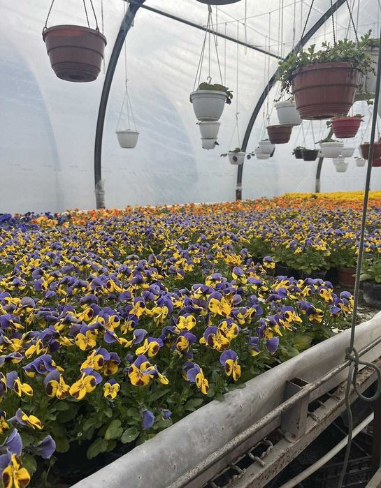 Продаж комерційного приміщення в Яришівці