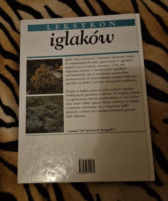 Leksykon iglaków książka