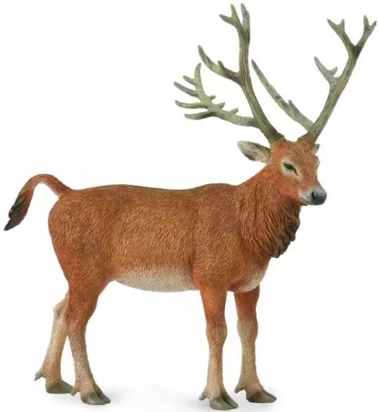 Jeleń Pere David's. Nowy Produkt