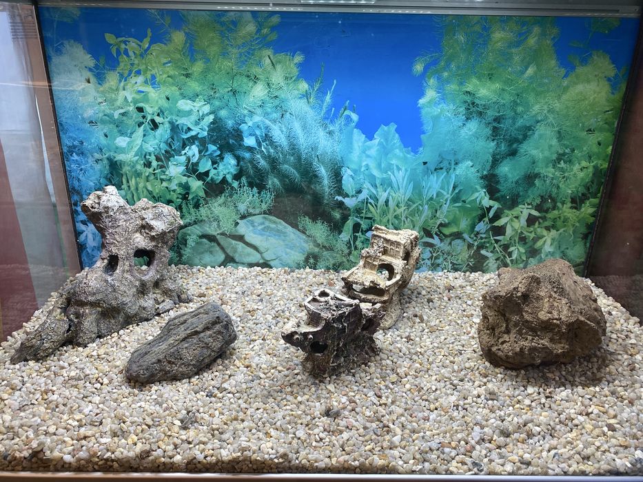 Aquário Aquatlantis 120Lts com  móvel e acessórios