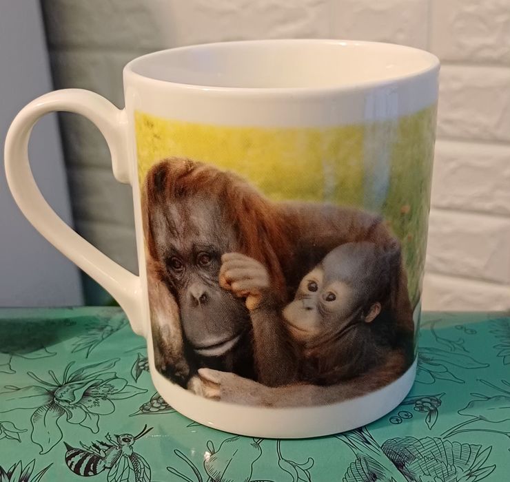 Чашка из тонкого фарфора марки G.W.P Fine China.