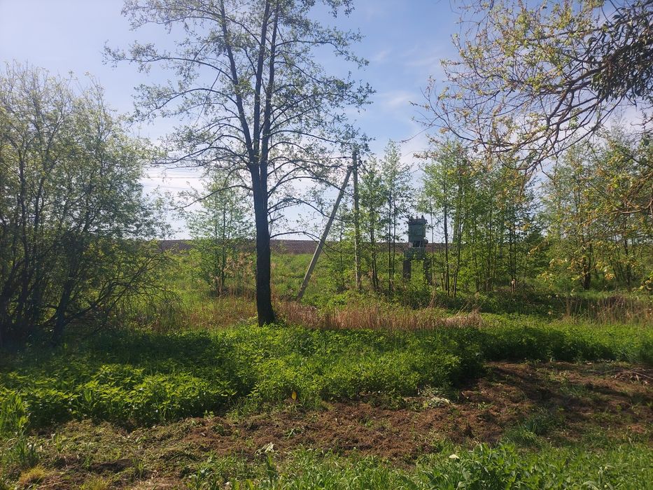 Продаж ділянки 50 соток с.Млинище (26144870)
