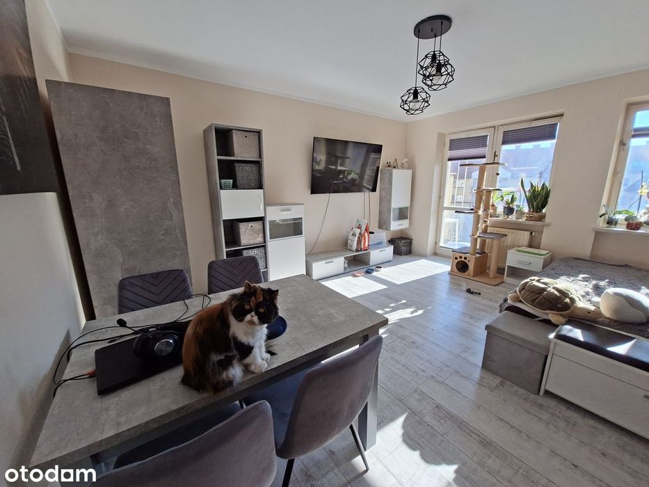 Ślichowice - 32 m² na wynajem | światłowód i TV w cenie | zwierzęta OK