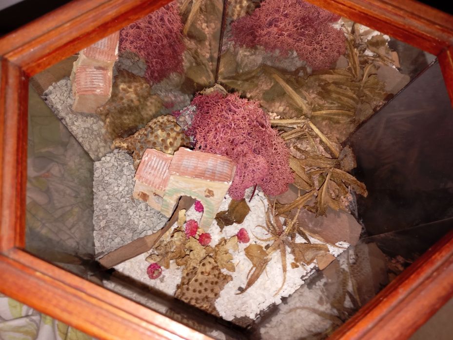Terrário hexagonal decorativo