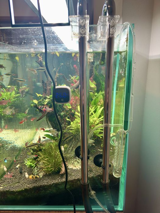 Aquário plantado 250L completo