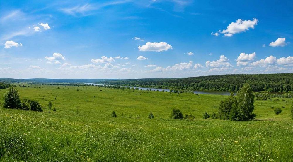 В продажу декілька земельних ділянок в Сумській області