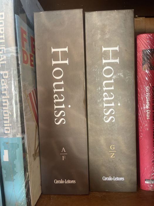 Livro Dicionário Português