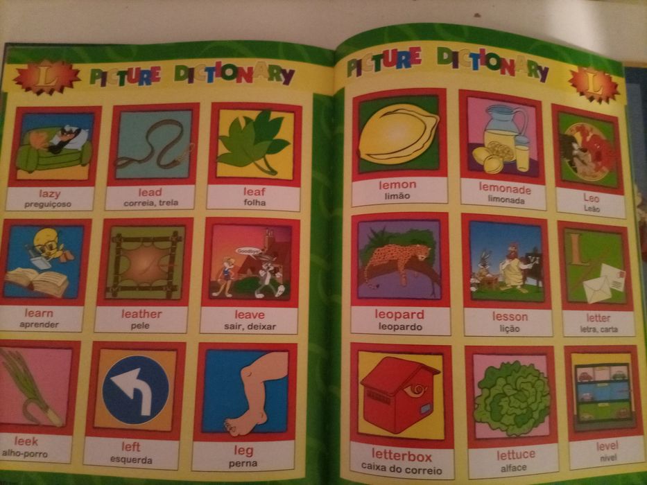 Livro English junior n°12
