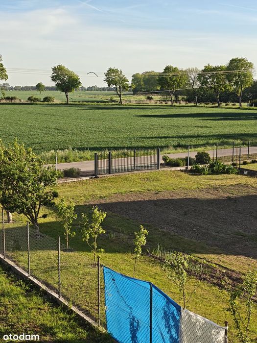 Działka pod budowę i mieszkanie trzypokojowe 84 m² , Łaszka , Sztutowo - Widok 2
