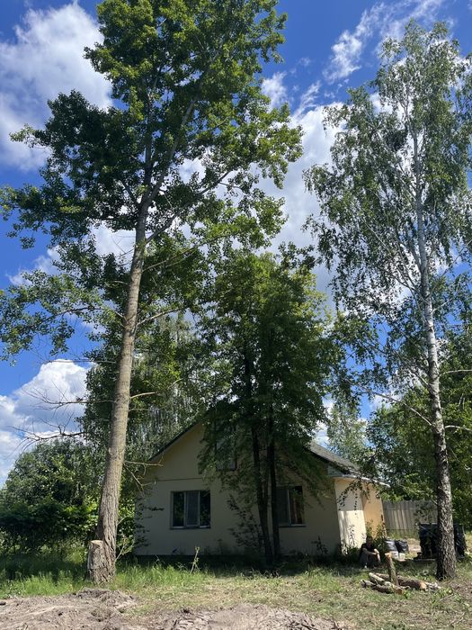 Видалення аварійних дерев, розчистка участка