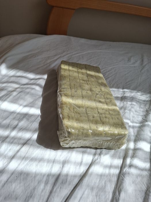 Kostki do sadzenia. Wełna mineralna. Podłoże. Sadzonki