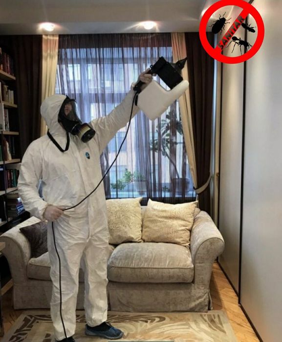 Травля тараканов Днепр. Травля клопов Днепр. Безопасно. 100% результат