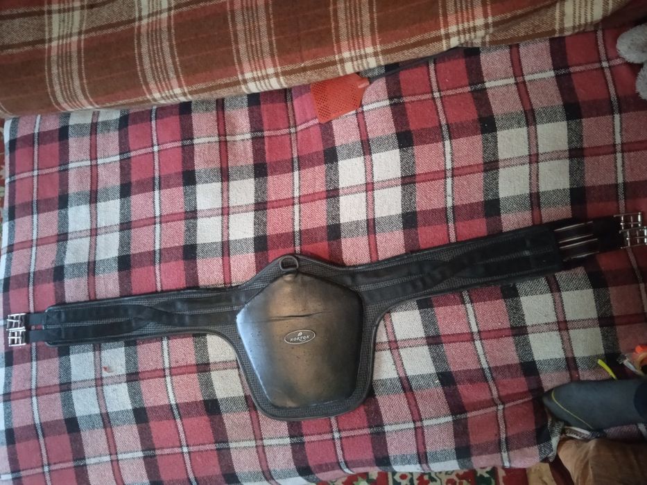 Конкурная подпруга для лошади