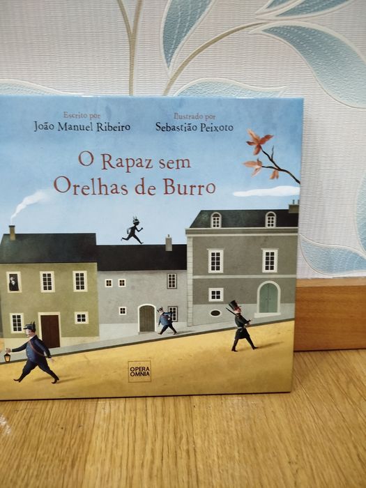 Livro: "O Rapaz sem orelhas de Burro" de João Manuel Ribeiro