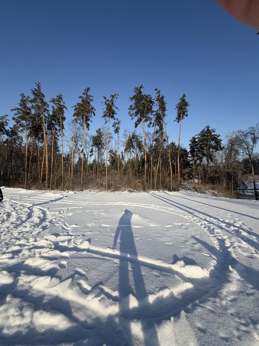 Ділянка у сосновому лісі 8-10 соток с. Ходосівка Новообухівська траса