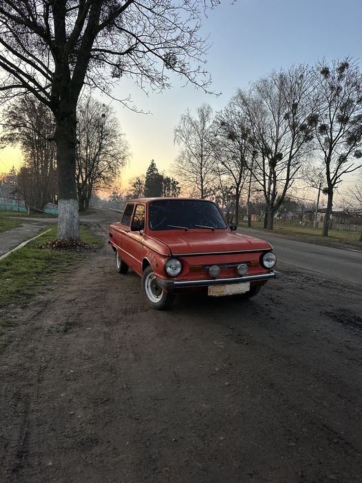 Продам зазіка легенду