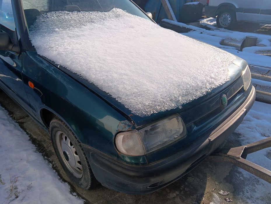 Skoda  Felicja  Na Elementy