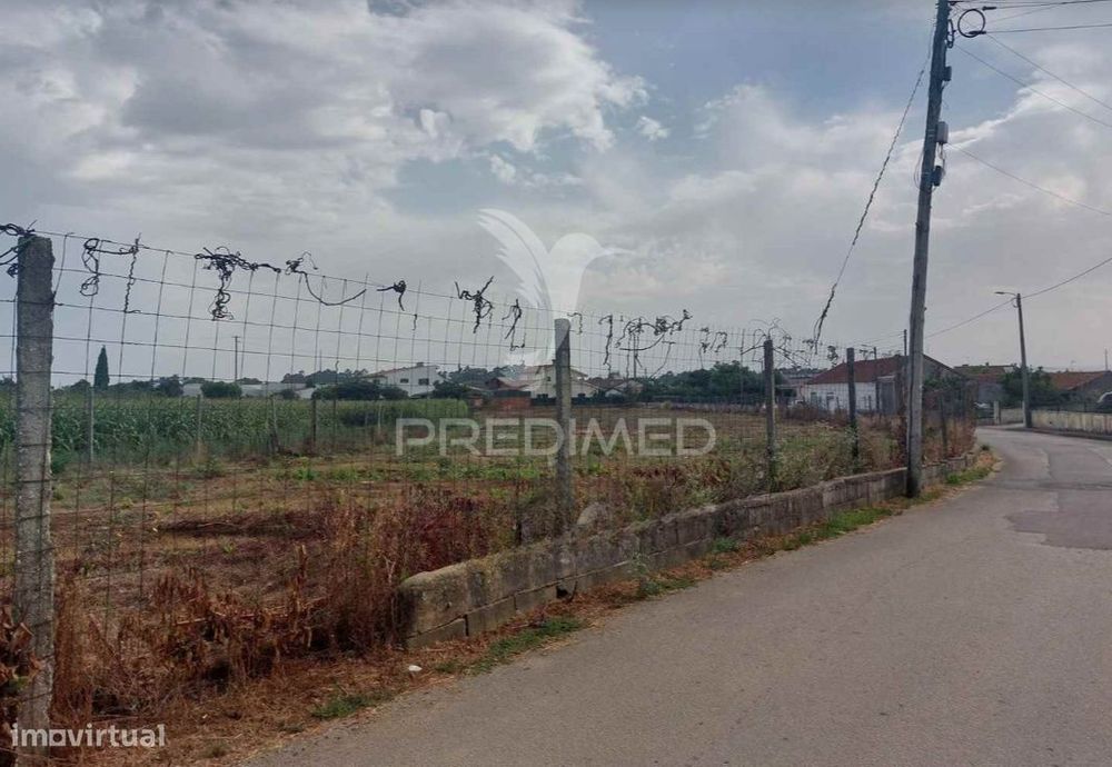 Terreno Rústico em Oiã com 4.190m2