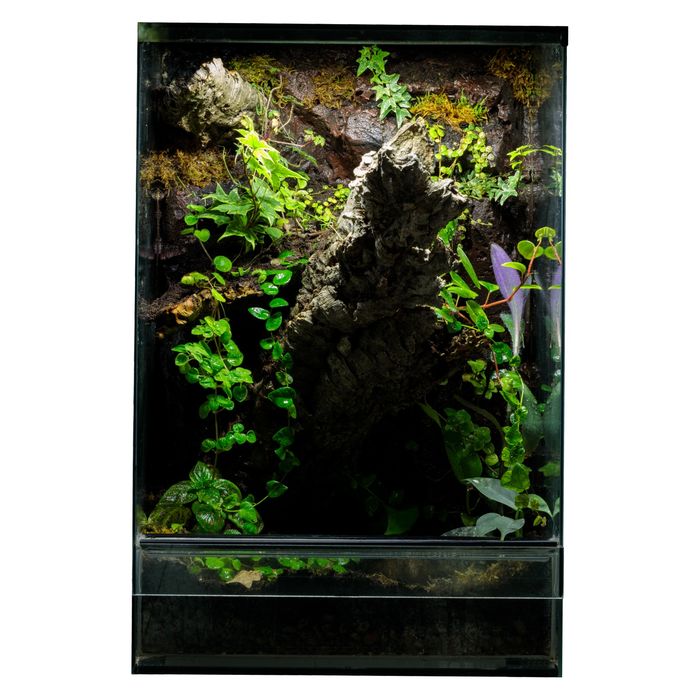 Terrarium tropikalne 40x40x60 gekon