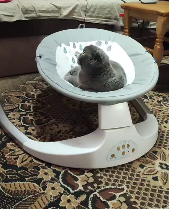 Заколисуючій центр