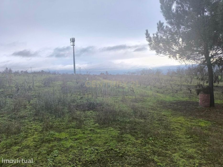 Terreno com vinha e poço - Perto da Zona Industrial de Chaves