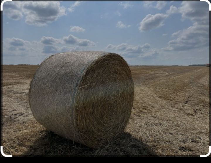 Продам сіно. Великі тюки