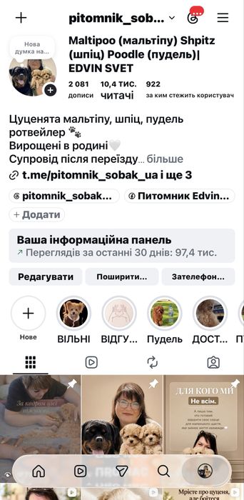 Мальтіпу дівчинка чорна — лялькова красуня.