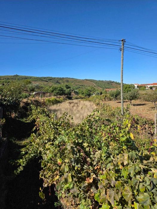 Vende-se terreno rústico com 500m2, na freguesia de Estreito