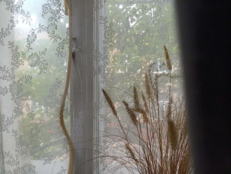 1-room apartment apartment by the address st. Kulikovo pole pl Oktyabrskoy revolyutsii pl (area 32,5 m²) - Atlanta.ua - photo 3