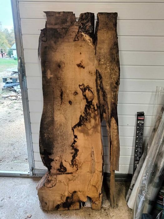 plastry plaster  blat foszty  drewna akacja